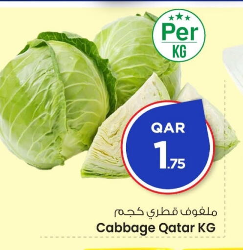 Cabbage from Qatar available at مارك & سيف in قطر - الضعاين