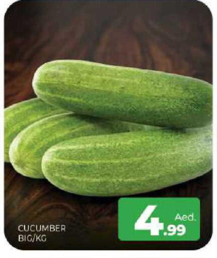 Cucumber available at المدينة in الإمارات العربية المتحدة , الامارات - الشارقة / عجمان