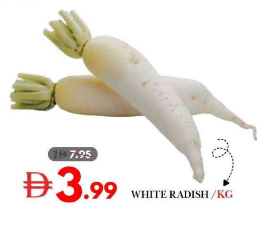 Radish available at ديزرت فريش ماركت in الإمارات العربية المتحدة , الامارات - أبو ظبي