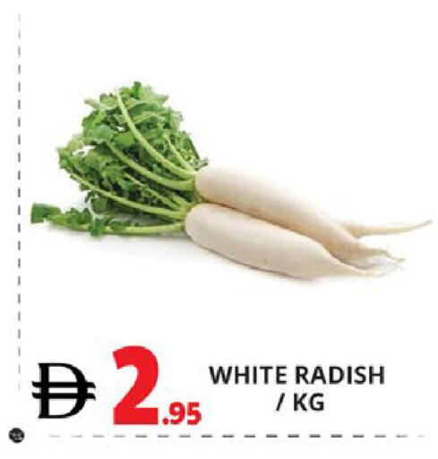 Radish available at اكسبرس المدينة هايبرماركت in الإمارات العربية المتحدة , الامارات - أبو ظبي
