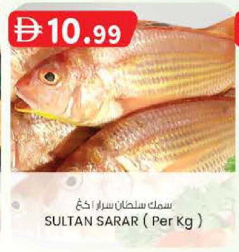 available at صفا هايبر in الإمارات العربية المتحدة , الامارات - ٱلْعَيْن‎