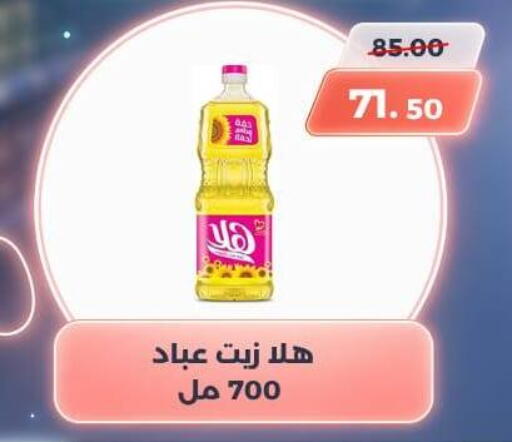 available at سوق الكانتو in Egypt - القاهرة