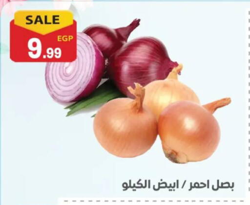 available at El mhallawy Sons in Egypt - Cairo