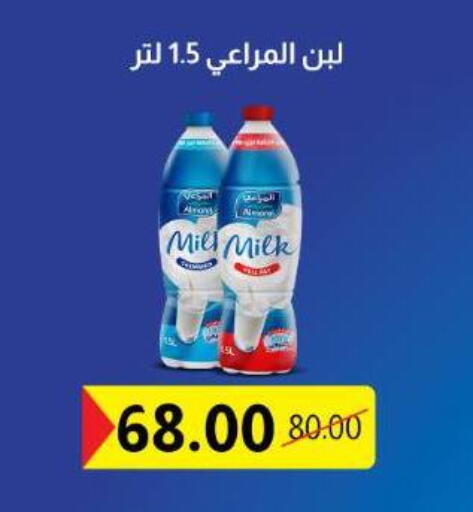 available at بيت الجملة in Egypt - القاهرة