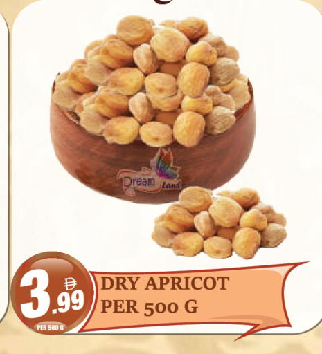 Apricot available at Dream Land in UAE - Dubai