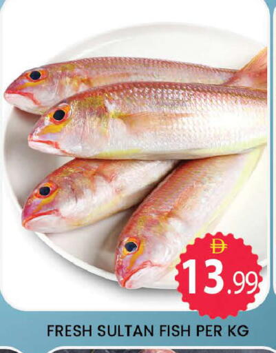 available at المدينة in الإمارات العربية المتحدة , الامارات - دبي