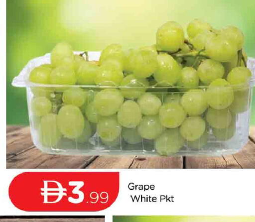 available at المدينة in الإمارات العربية المتحدة , الامارات - دبي