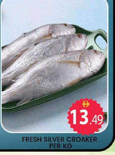 available at المدينة in الإمارات العربية المتحدة , الامارات - دبي