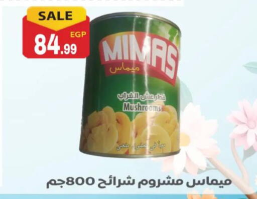 available at El mhallawy Sons in Egypt - Cairo
