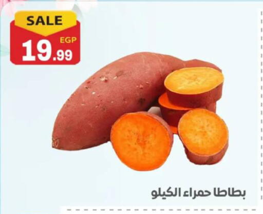 available at El mhallawy Sons in Egypt - Cairo