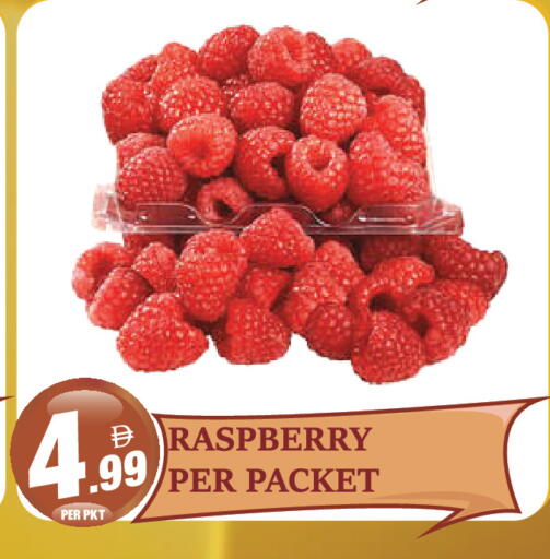 available at Dream Land in UAE - Dubai