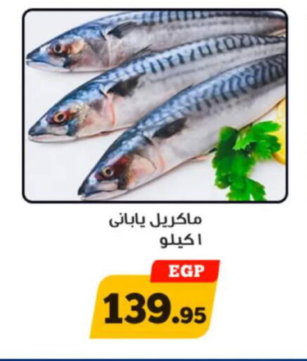 available at Awlad Ragab in Egypt - Cairo