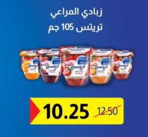 available at بيت الجملة in Egypt - القاهرة