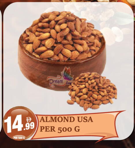 available at Dream Land in UAE - Dubai