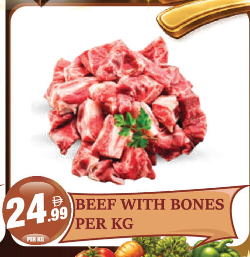 available at Dream Land in UAE - Dubai