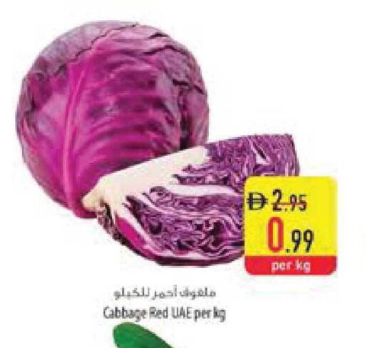 Cabbage available at Safeer Market in UAE - Ras al Khaimah