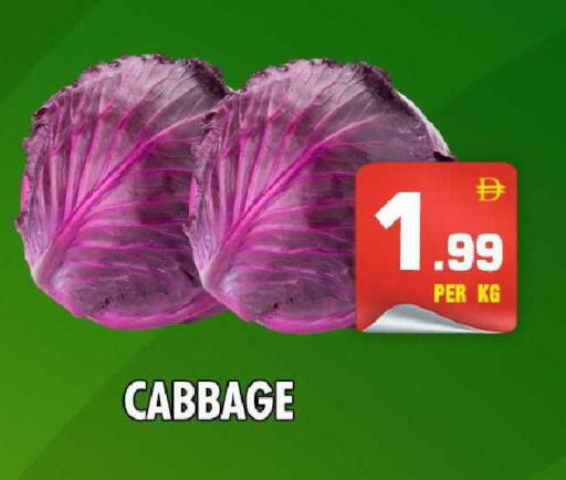 Cabbage available at نايت تو نايت in الإمارات العربية المتحدة , الامارات - دبي