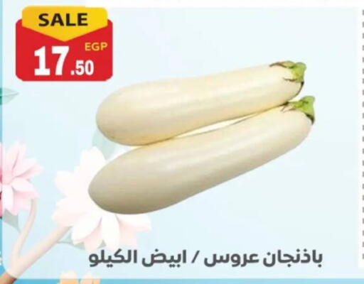 available at El mhallawy Sons in Egypt - Cairo