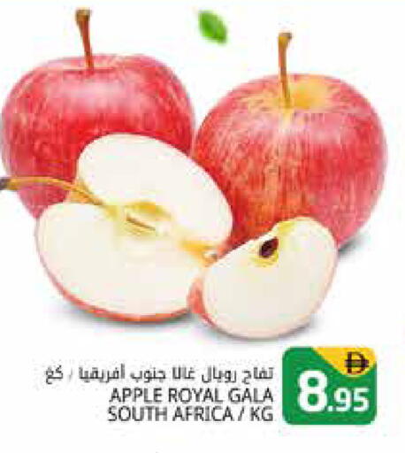 Apple from South Africa available at Pasons Hypermarket in UAE - Dubai