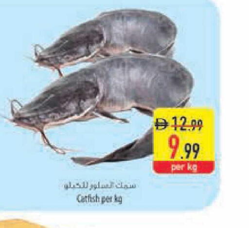 available at Safeer Market in UAE - Ras al Khaimah