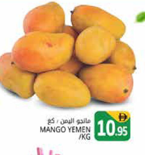 Mango from Yemen available at Pasons Hypermarket in UAE - Dubai