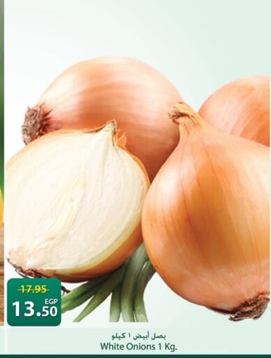 available at Spinneys  in Egypt - Cairo