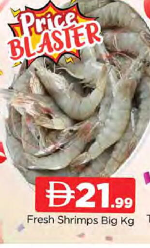 available at المدينة in الإمارات العربية المتحدة , الامارات - دبي