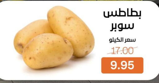 available at Beit El Gomla in Egypt - Cairo