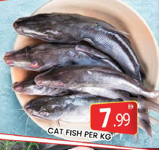 available at المدينة in الإمارات العربية المتحدة , الامارات - دبي