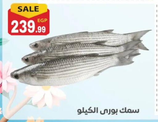 available at El mhallawy Sons in Egypt - Cairo