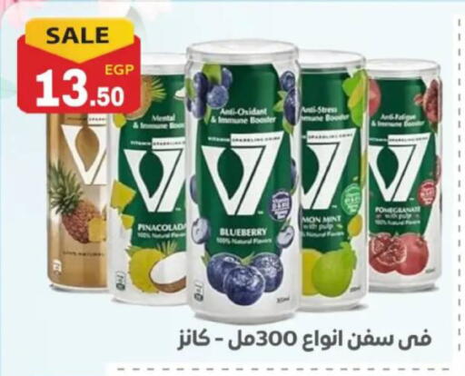 Blueberry BlueBerry Mint available at El mhallawy Sons in Egypt - Cairo