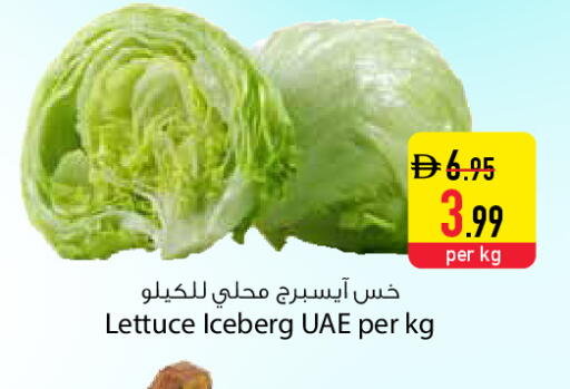 Lettuce available at السفير ماركت in الإمارات العربية المتحدة , الامارات - دبي