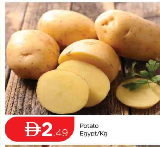 Potato from Egypt available at المدينة in الإمارات العربية المتحدة , الامارات - دبي