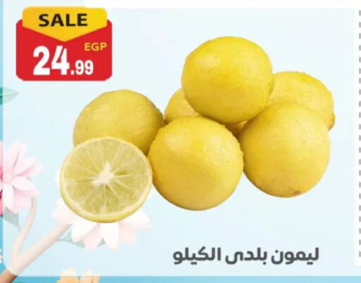 available at أولاد المحاوى in Egypt - القاهرة