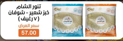 available at Beit El Gomla in Egypt - Cairo