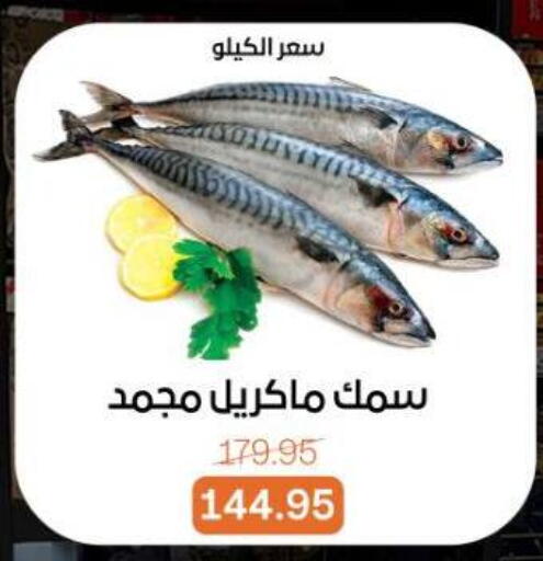 available at Beit El Gomla in Egypt - Cairo