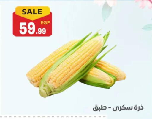 available at El mhallawy Sons in Egypt - Cairo