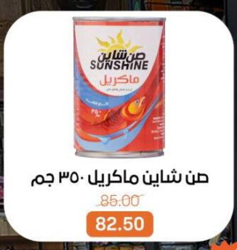 available at Beit El Gomla in Egypt - Cairo