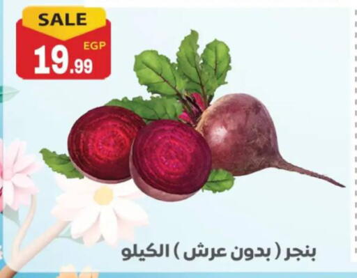 available at El mhallawy Sons in Egypt - Cairo