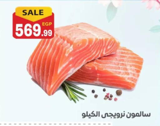 available at أولاد المحاوى in Egypt - القاهرة