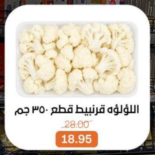 available at بيت الجملة in Egypt - القاهرة