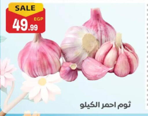 available at El mhallawy Sons in Egypt - Cairo