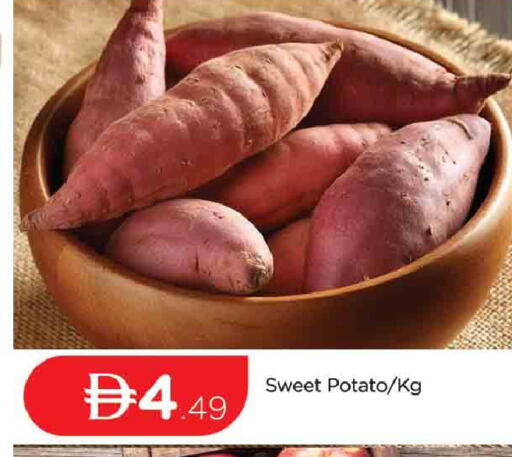 Sweet Potato available at المدينة in الإمارات العربية المتحدة , الامارات - دبي