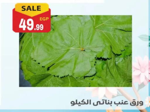 available at أولاد المحاوى in Egypt - القاهرة