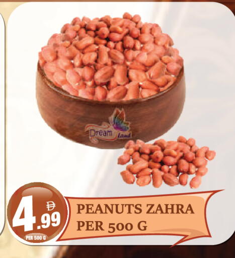 available at Dream Land in UAE - Dubai