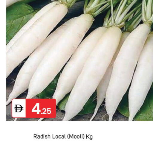 Radish available at سوق طلال in الإمارات العربية المتحدة , الامارات - الشارقة / عجمان
