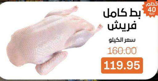 available at بيت الجملة in Egypt - القاهرة