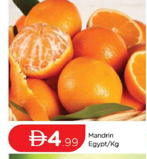 from Egypt available at المدينة in الإمارات العربية المتحدة , الامارات - دبي