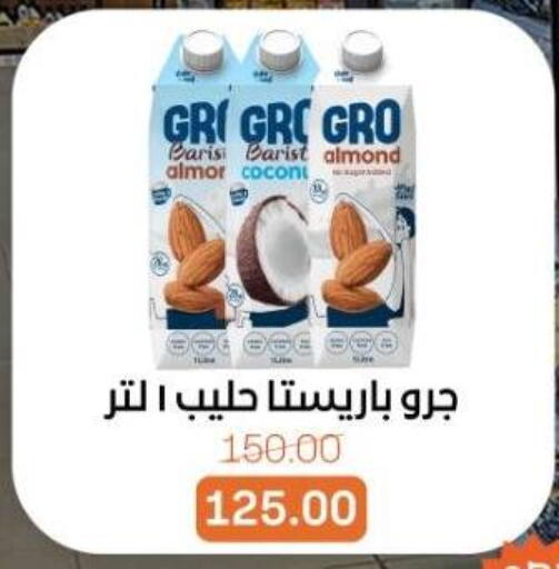 available at Beit El Gomla in Egypt - Cairo