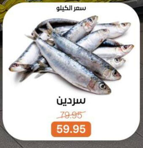 available at Beit El Gomla in Egypt - Cairo